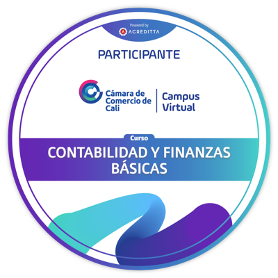 Contabilidad y Finanzas Básicas