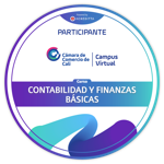 Contabilidad y Finanzas Básicas