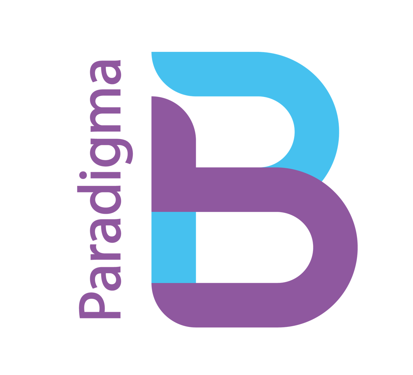 Paradigma B