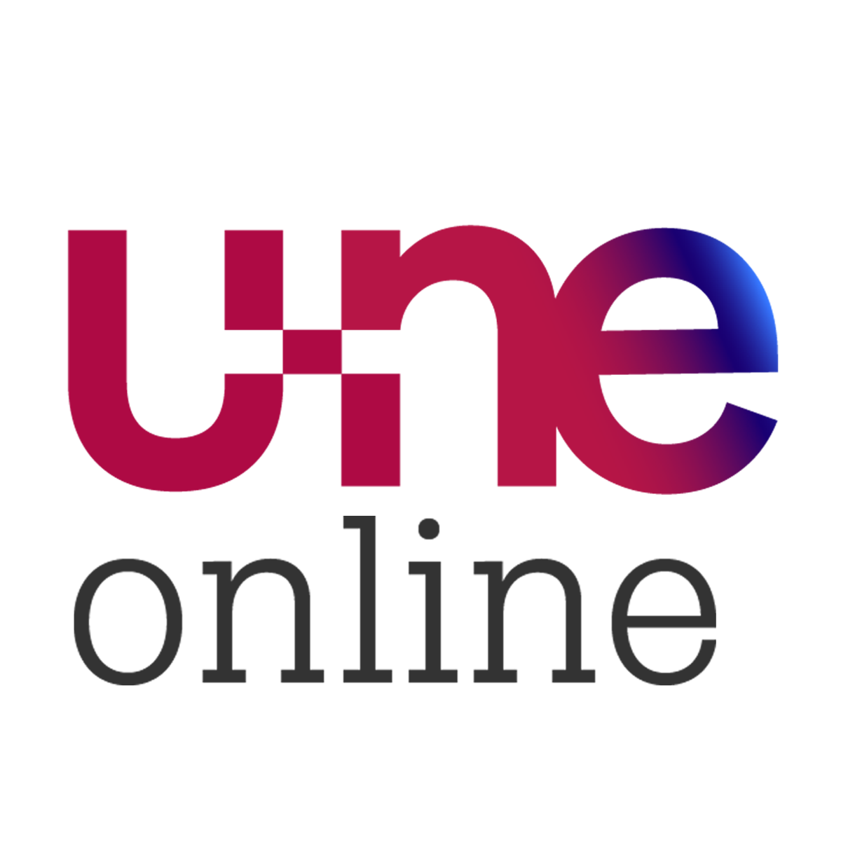 UNIVERSIDAD DEL NORESTE