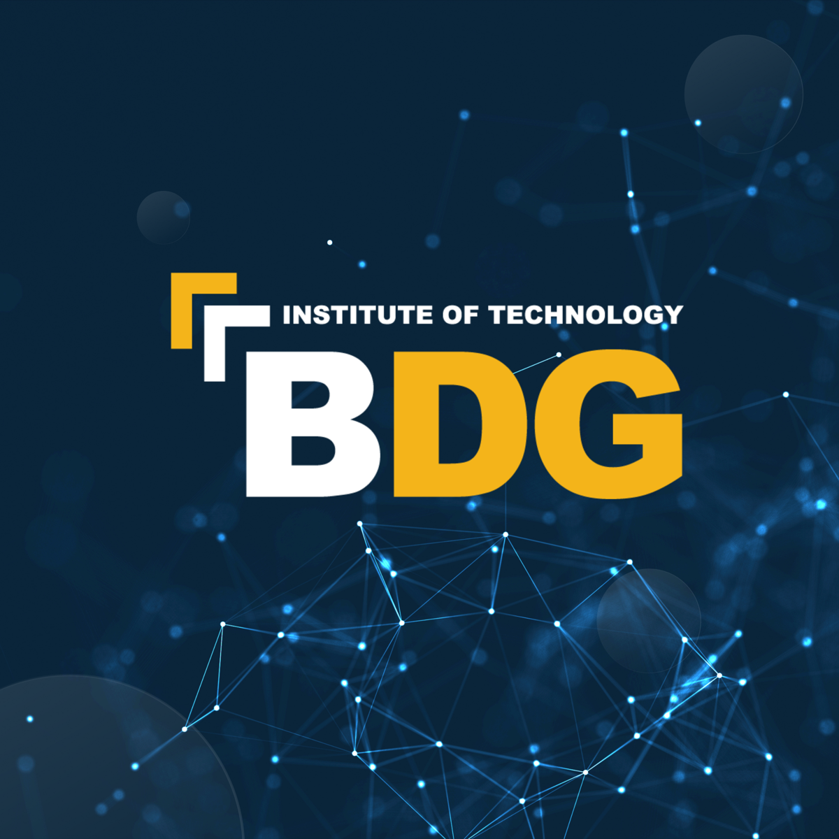 BDG Institute