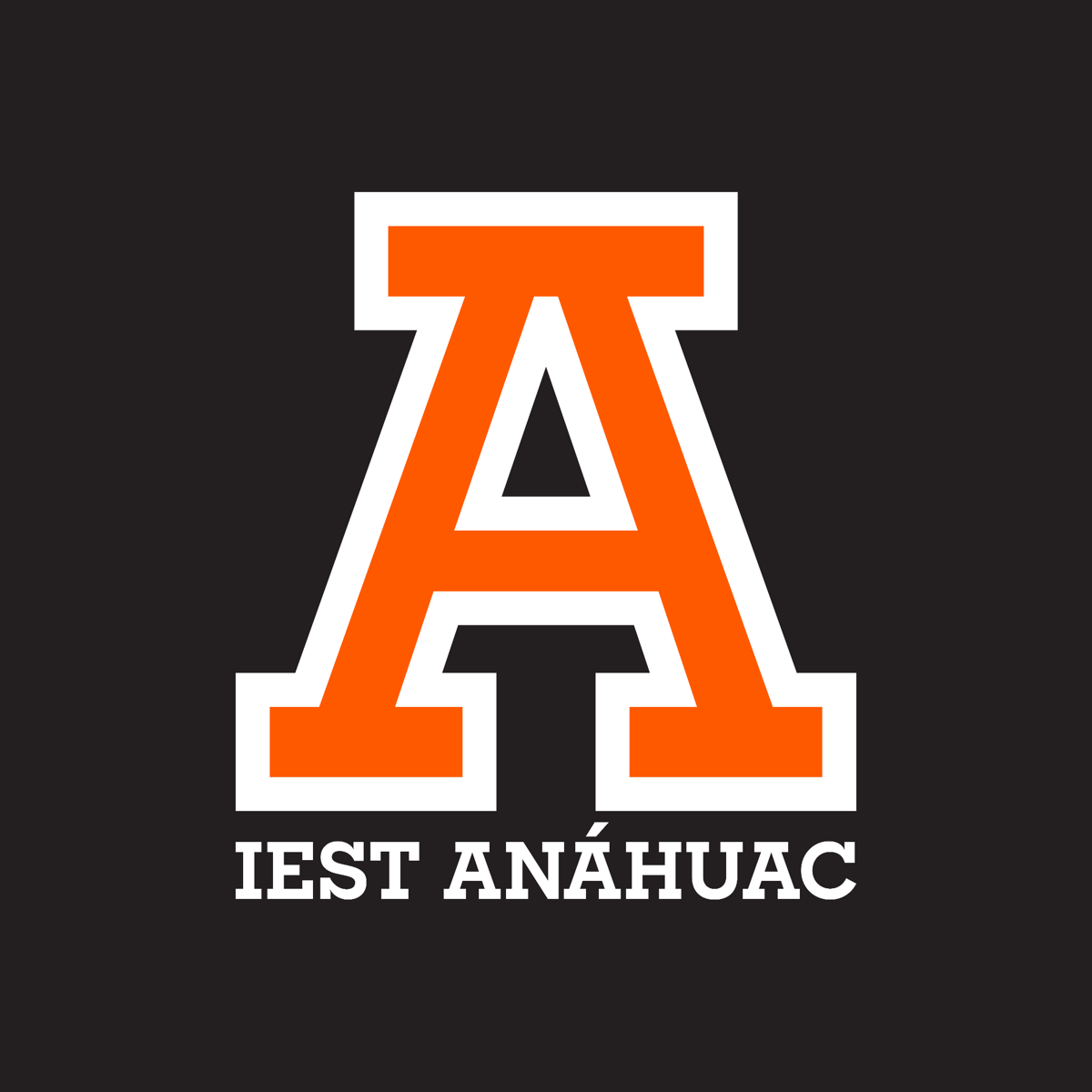Coordinación de Desarrollo Academico IEST Anáhuac