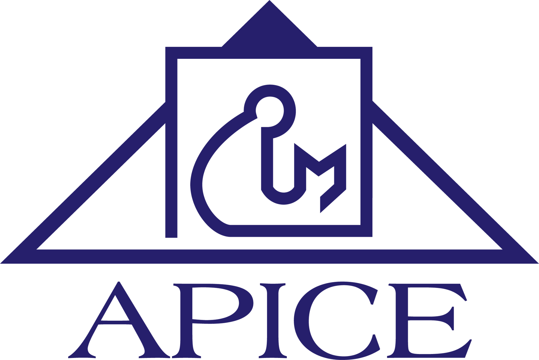 Asociación Panamericana de Instituciones de Crédito Educativo - APICE