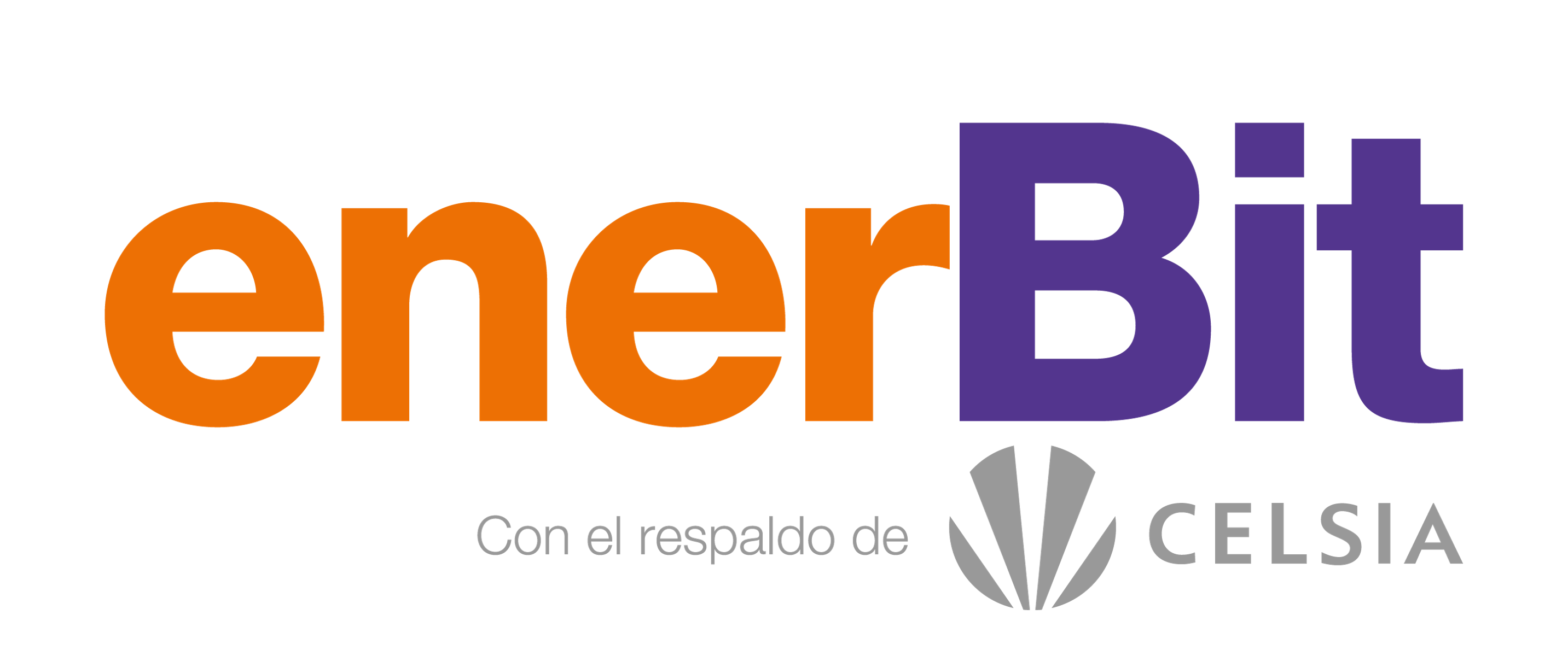ENERBIT S.A.S. E.S.P.